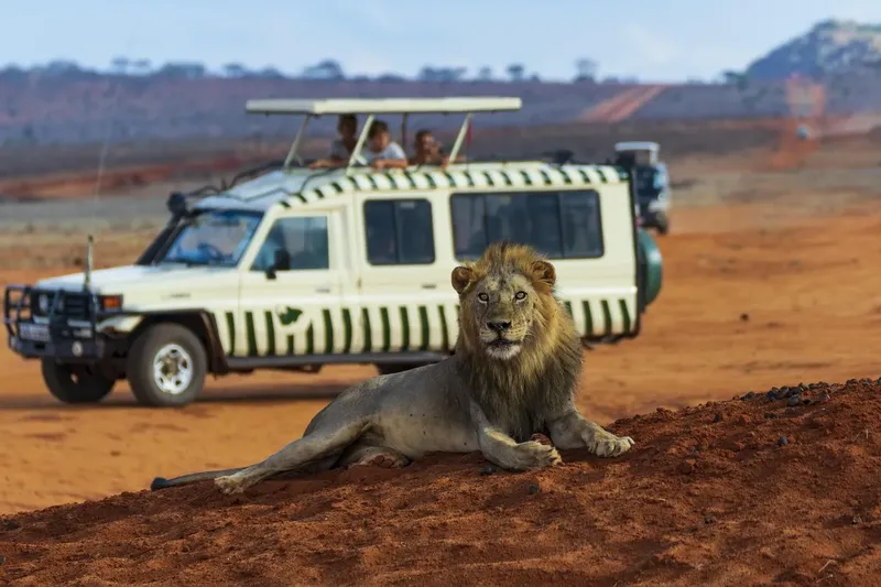 3-Day Economic Masai Mara Safari - Kenya safaris gallery image