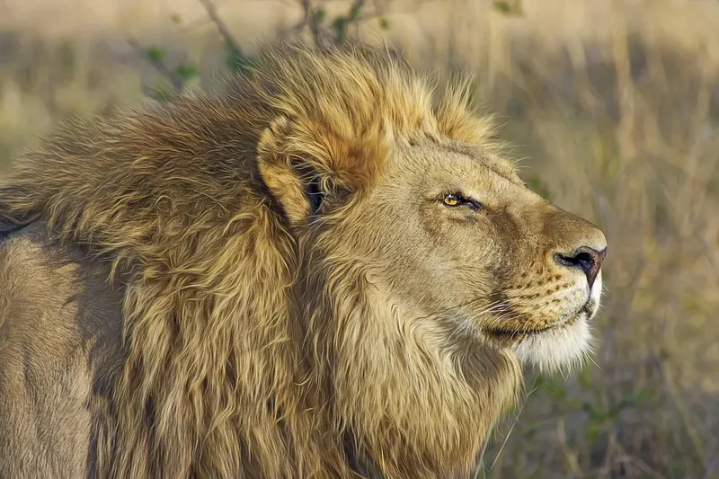 6-Day Tarangire, Ngorongoro Crater & Serengeti Safari - Tanzania safari