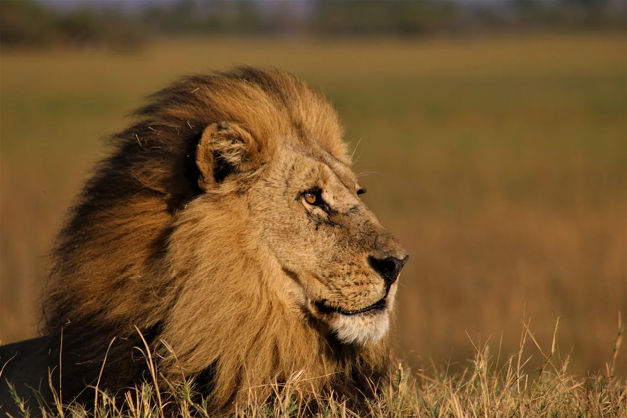 10-Day Big-5 Camping Safari & Cultural Tourism  - Tanzania safari hero photo