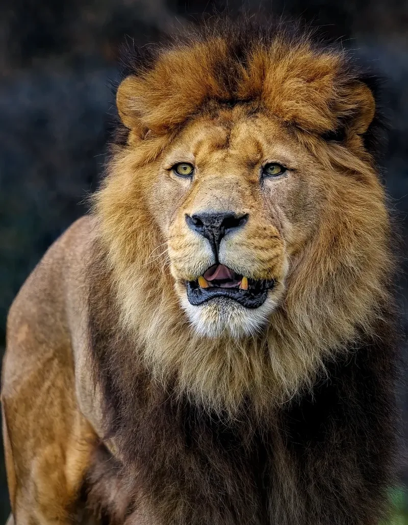11-Day Kenya off the Beaten Track - Kenya safaris gallery image