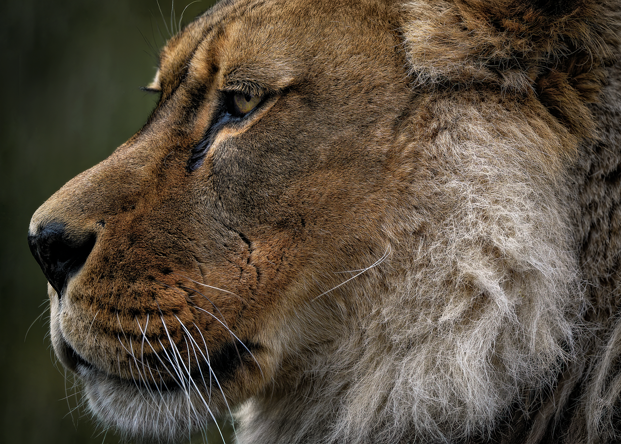 12 Days  Botswana Family Safari Tour gallery image