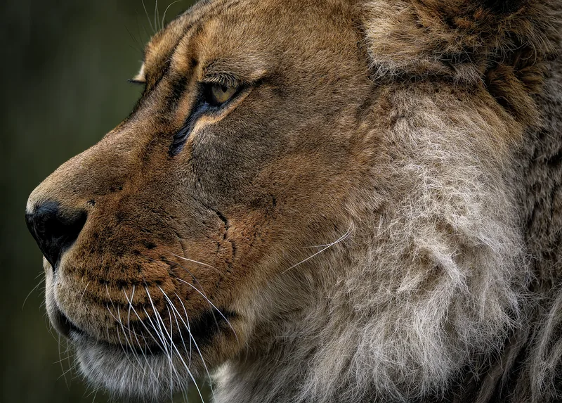 12 Days  Botswana Family Safari Tour gallery image