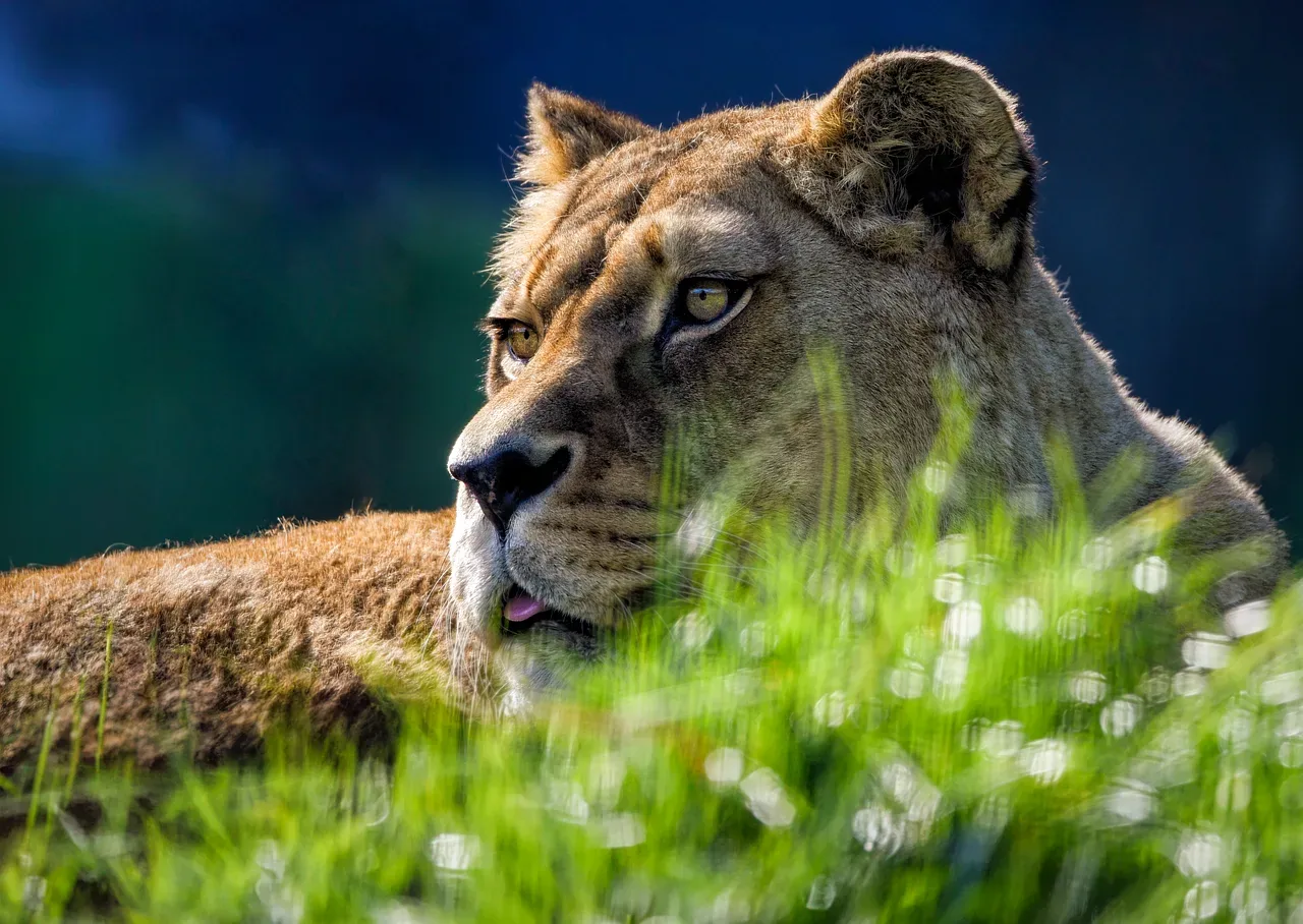 18-Day Namibia, Botswana and Vic Falls Safari hero photo