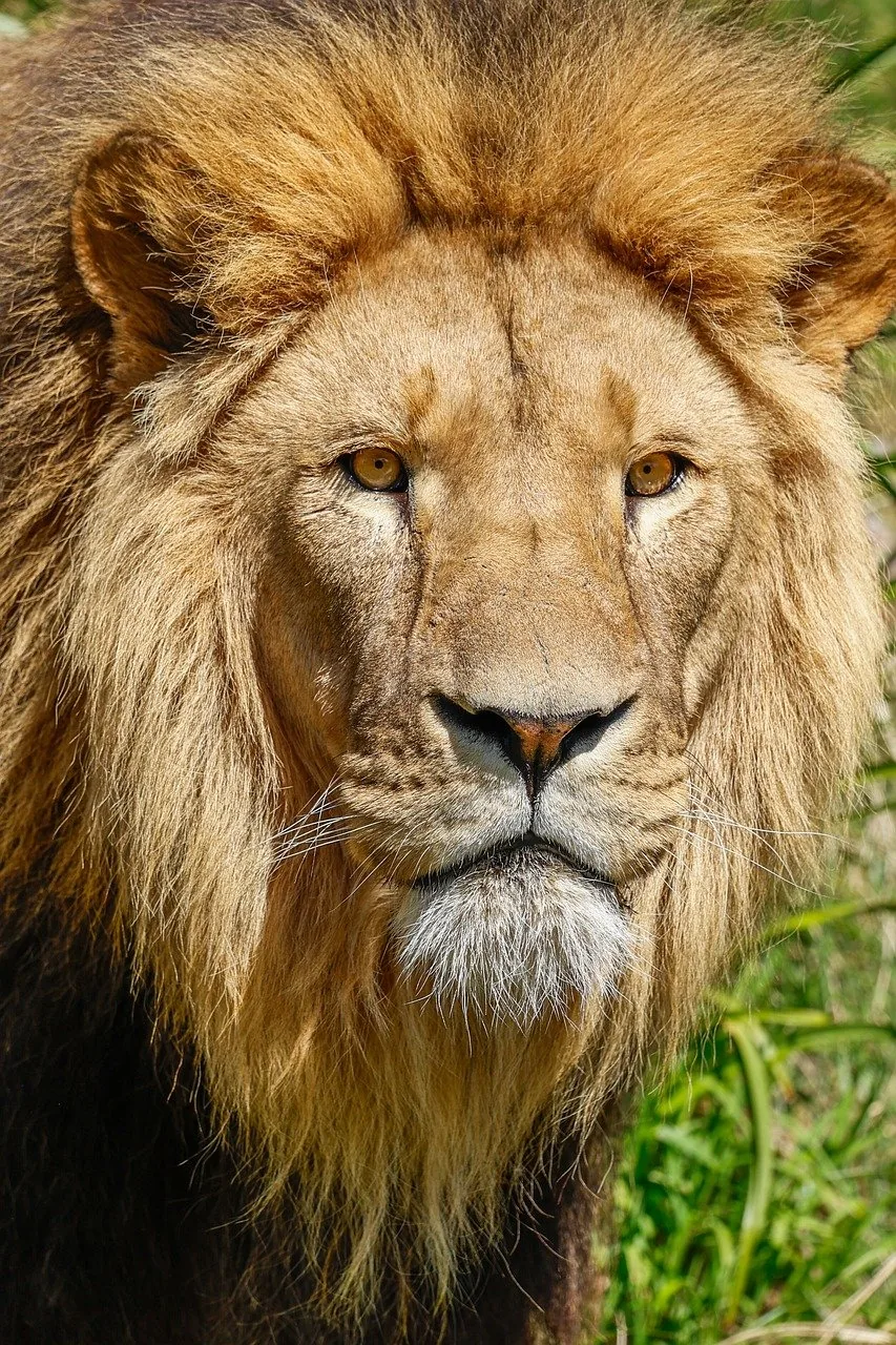 2-Day Best of Tanzania Safari - Tanzania safari hero photo