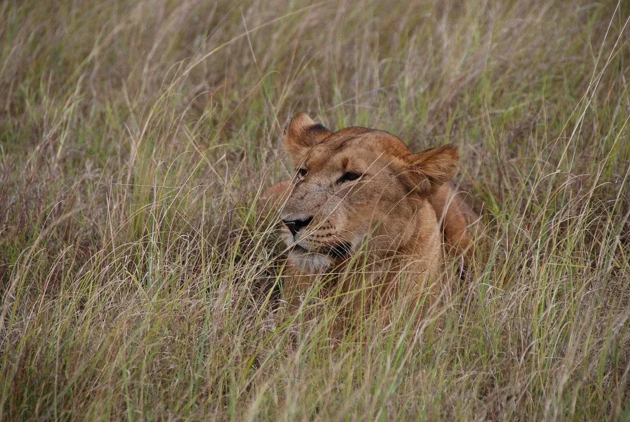 3-Day Best of Tanzania Safari - Mid Range impressive Tour hero photo