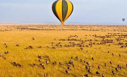 11-Day Kenya off the Beaten Track - Kenya safaris gallery image