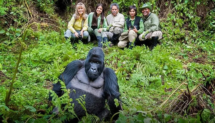 4-Day Gorilla Trek Bwindi Uganda & Golden Monkeys Rwanda gallery image