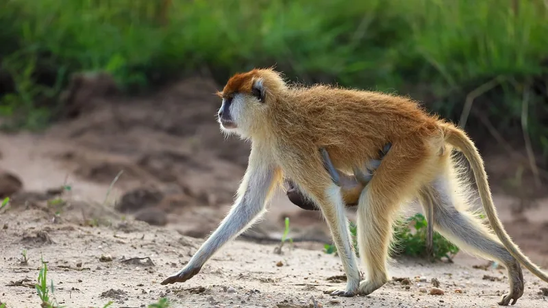 1-Day Tour to Lake Naivasha, Hell's Gate & Spa - Kenya tours