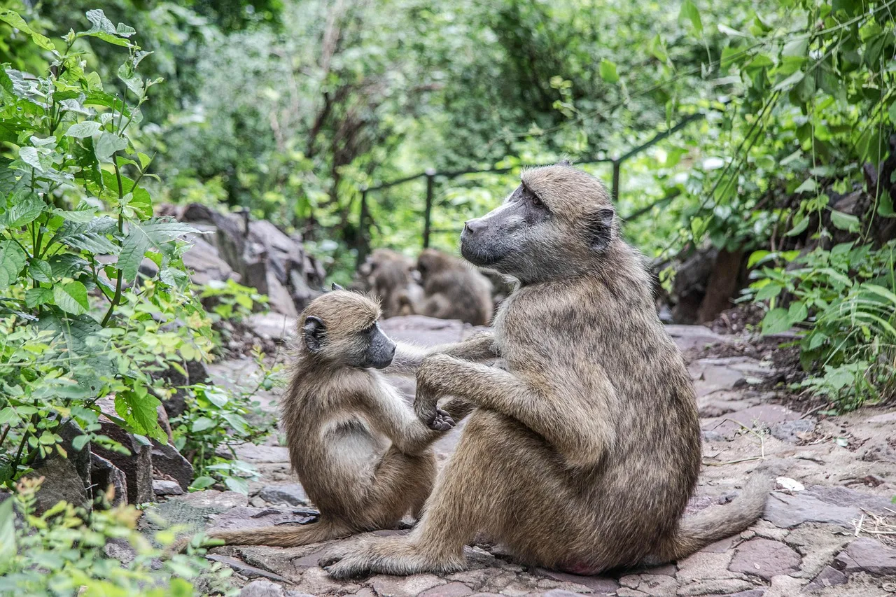 10-Day The Best of Zambia gallery image