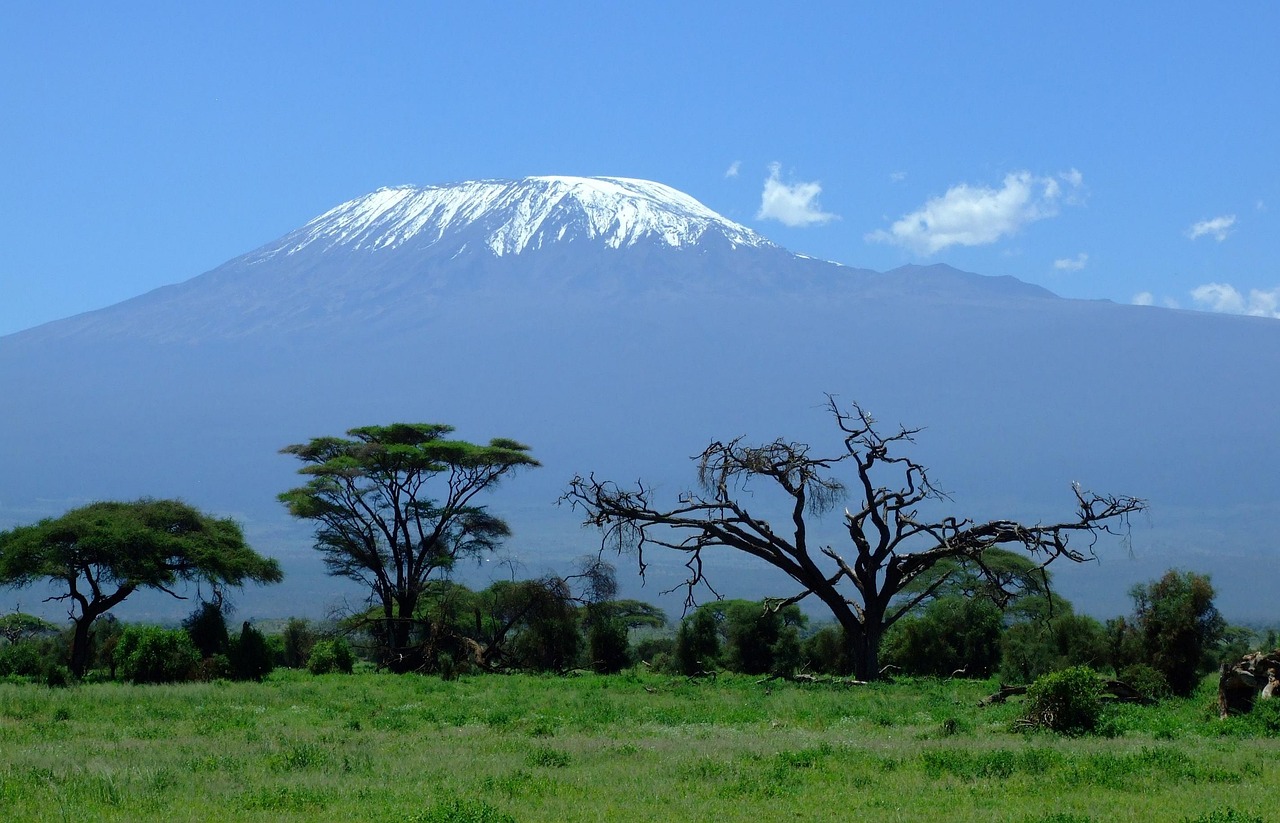 5-Day Simba Safari - Mid- Range - Private Tour - Tanzania safari gallery image