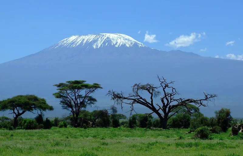 7-Day Of Safari & Kilimanjaro Foothills Hike -  Tanzania safari