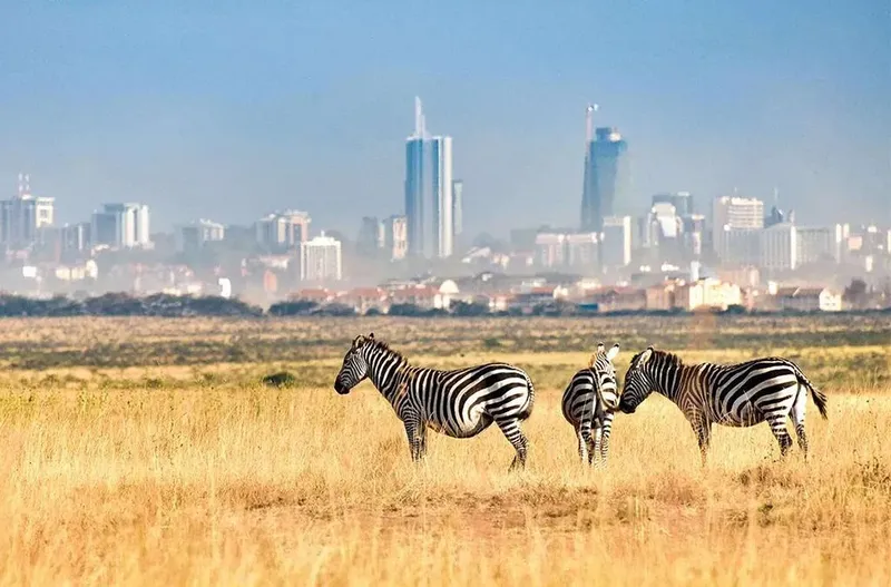 6-Day Kenya Group Safari to Maasai Mara, Lake Nakuru & Amboseli
