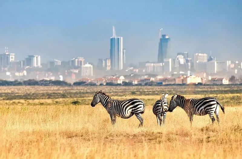 6-Day Best of Kenya Budget Group Joining Safari - Kenya tours gallery image