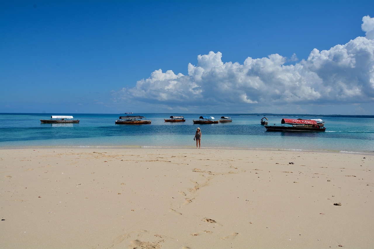 Enjoyable 5-Days Zanzibar a Paradise of Culture, Beaches, and Spice - Tanzania safari gallery image