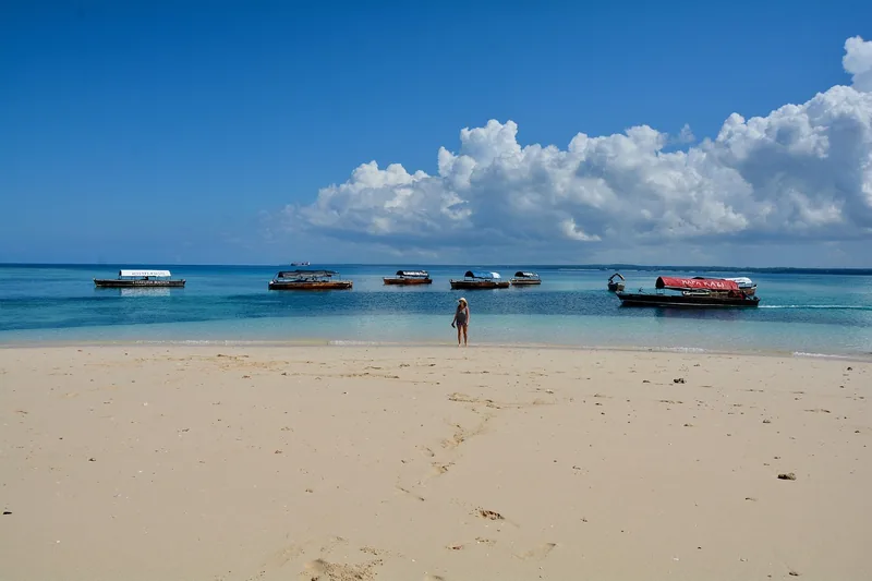 5-Day Zanzibar Beach and Wildlife Discovery Best Safari - Tanzania safari gallery image