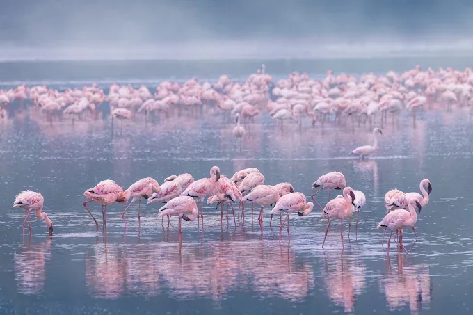12-Day Kenya Safari & Zanzibar Beach Adventure