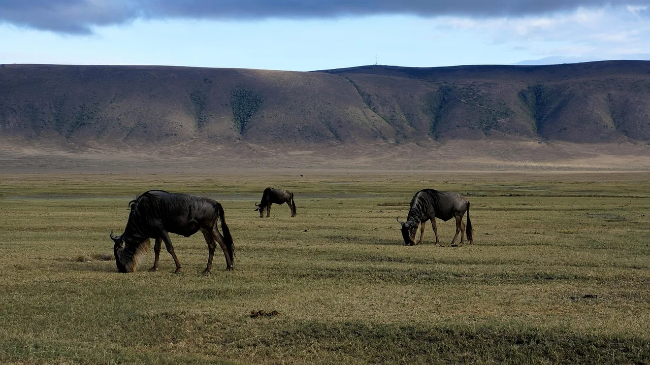 8 Days  Rivers & Reserves Safari Escape gallery image