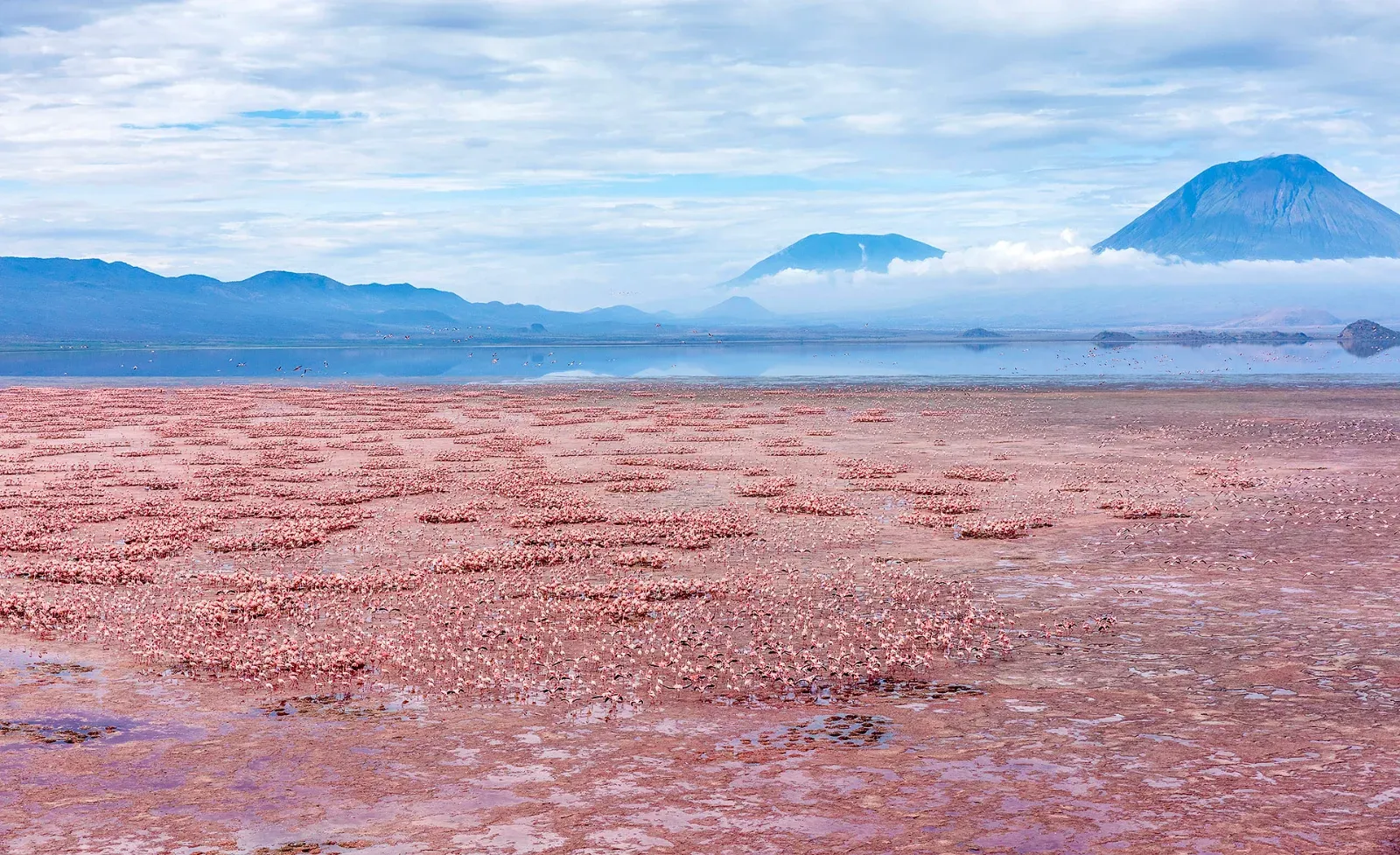 10 Days National Parks Lake Natron & Great Migration Tour - Tanzania safari hero photo
