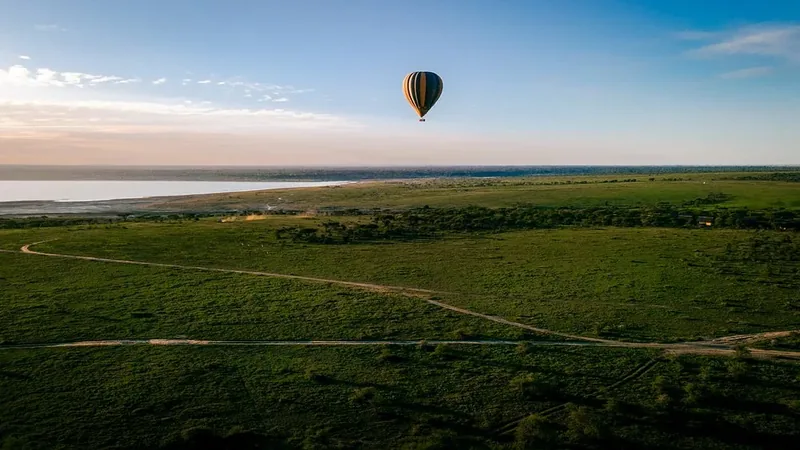 3-Day Ndutu Great Migration Fly-In Safari from Zanzibar gallery image