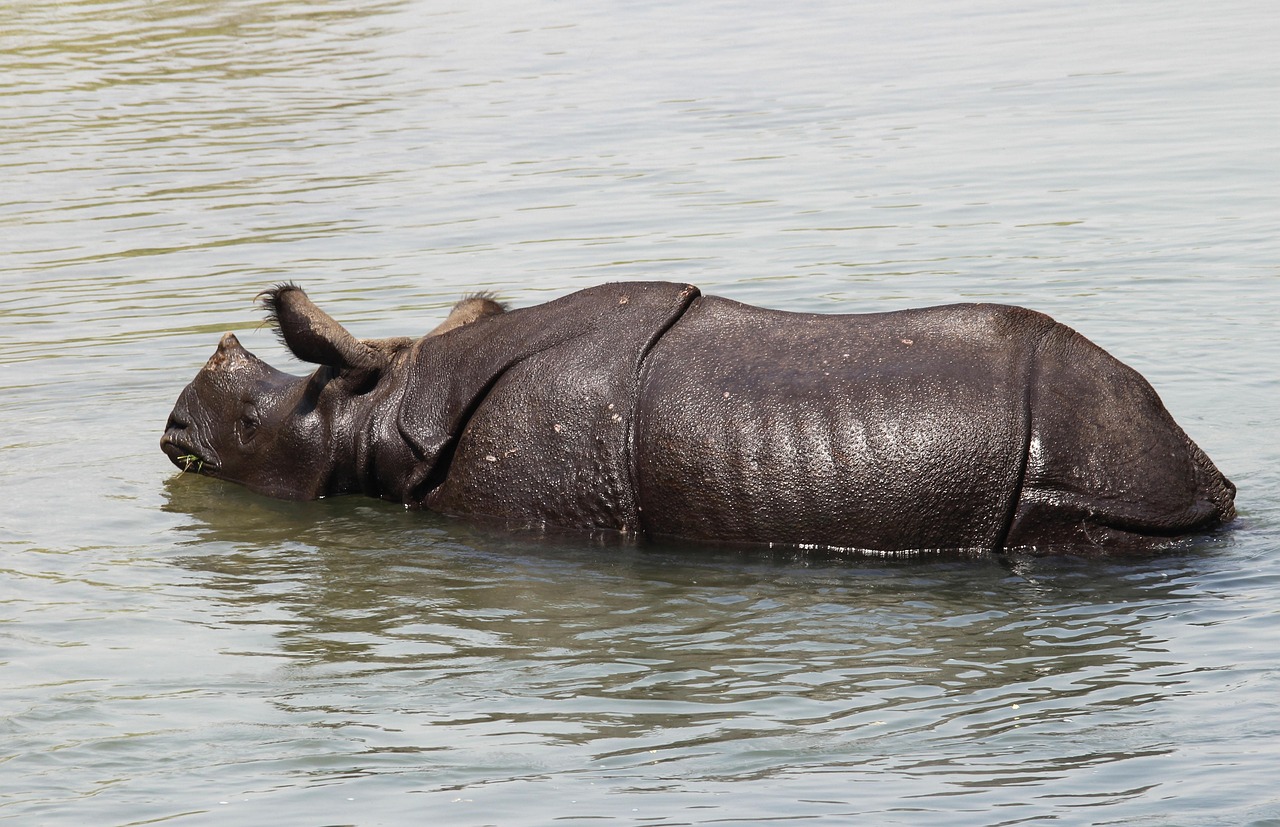 2-Day Safari to Tarangire NP & Manyara NP from Zanzibar - Tanzania safari gallery image
