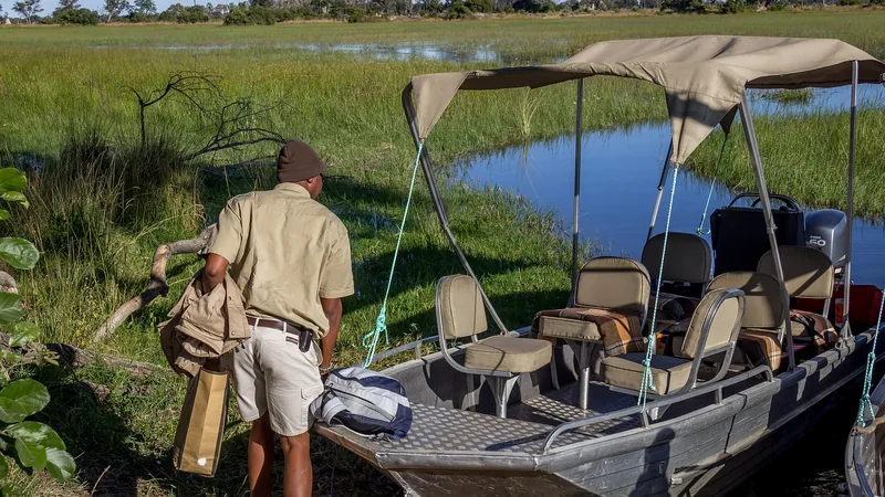 10 Days  Delta & Chobe Luxury Safari - 3 Free Nights gallery image