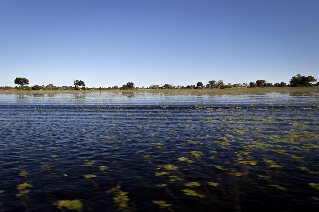 15-Day Botswana and Zimbabwe Ivory Route gallery image