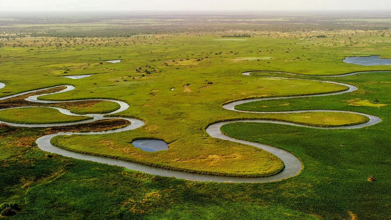 1-Day Mokoro Trail on the Okavango Delta Waterways hero photo