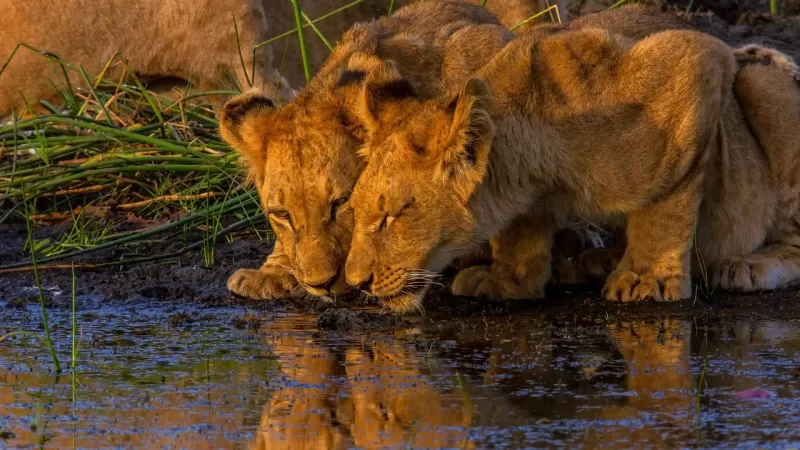 5-Day Rhino Post Safari Lodge gallery image