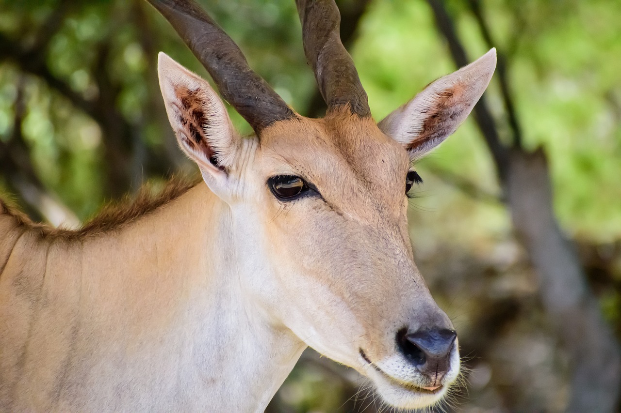 9 Days  Customized Budget Camping Okavango Delta/Vic Falls gallery image