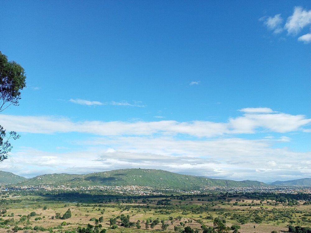 1 Day Trip Safari to Ruaha National Park from Iringa gallery image