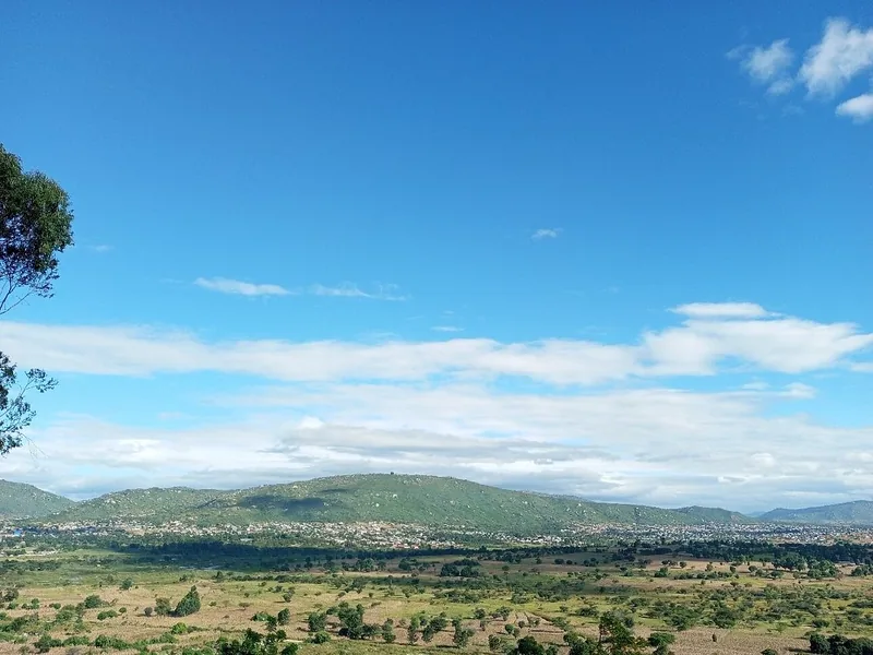 1 Day Trip Safari to Ruaha National Park from Iringa