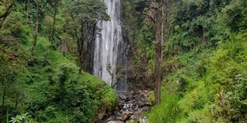 5 Days Moshi & Kilimanjaro Cultural and Nature Experience