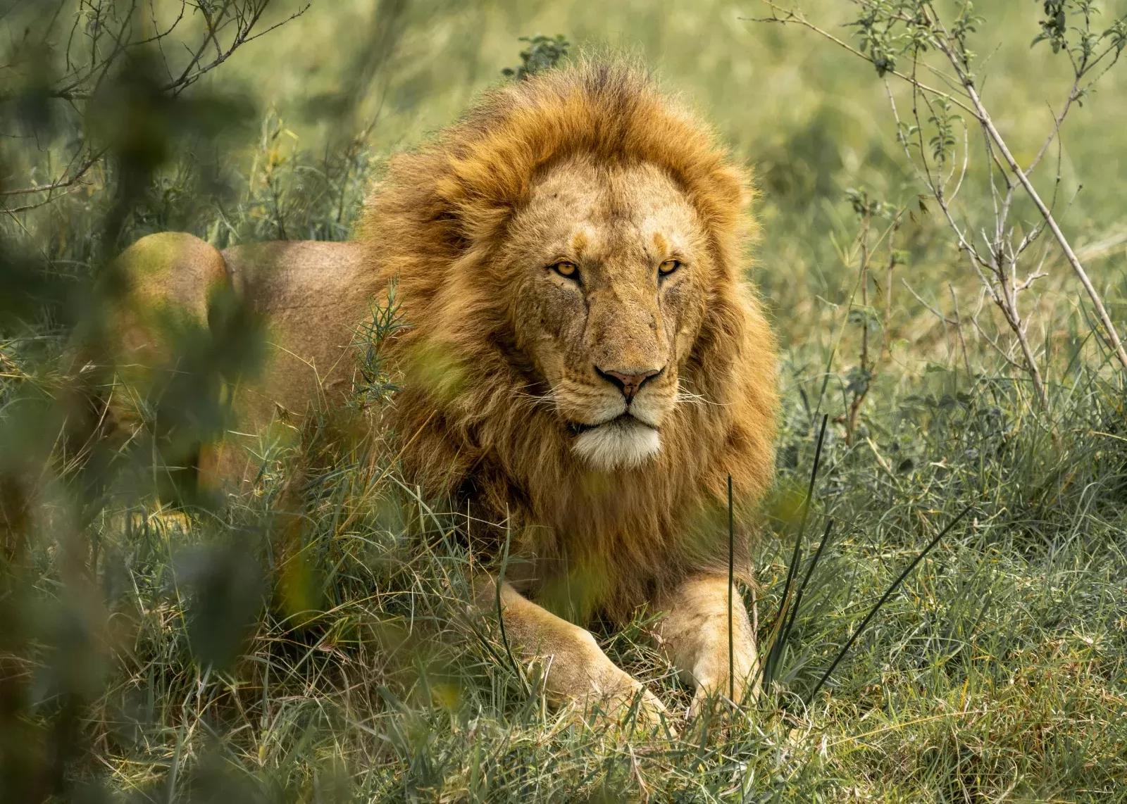 6-Days  Hoyo Hoyo Lodge & Sabi Sands Umkumbe Lodge Safari hero photo