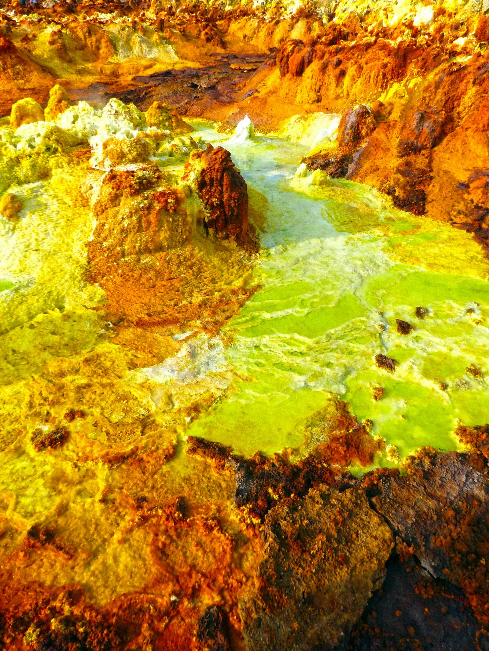 6-Day Timeless Ethiopia, Lalibela and Danakil Depression gallery image