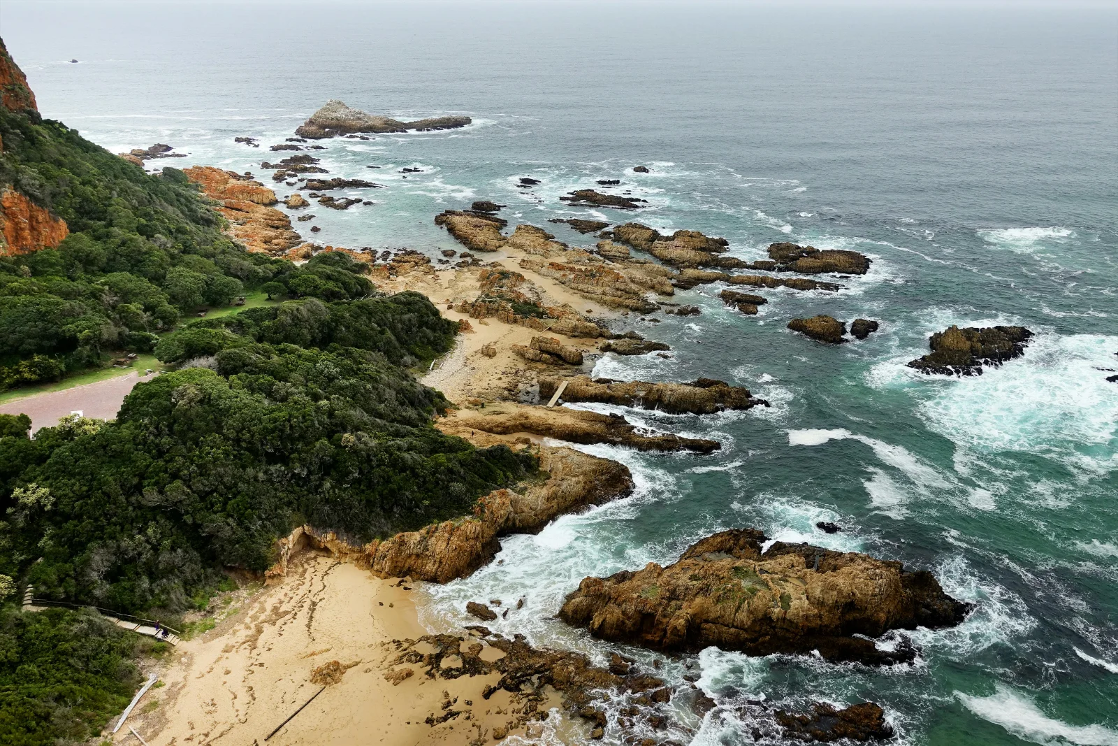 6-Days  Scheduled Tour Garden Route, Safari & Hermanus