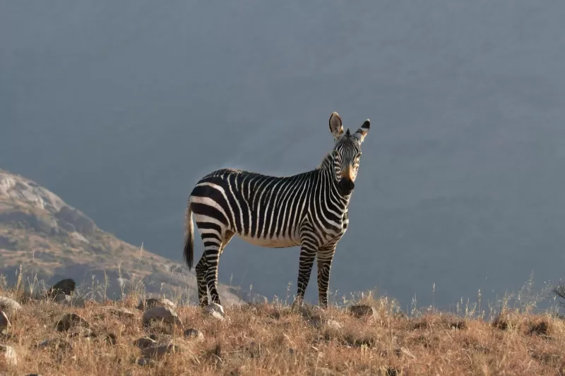 3-Day Classic Kruger Park Safari gallery image