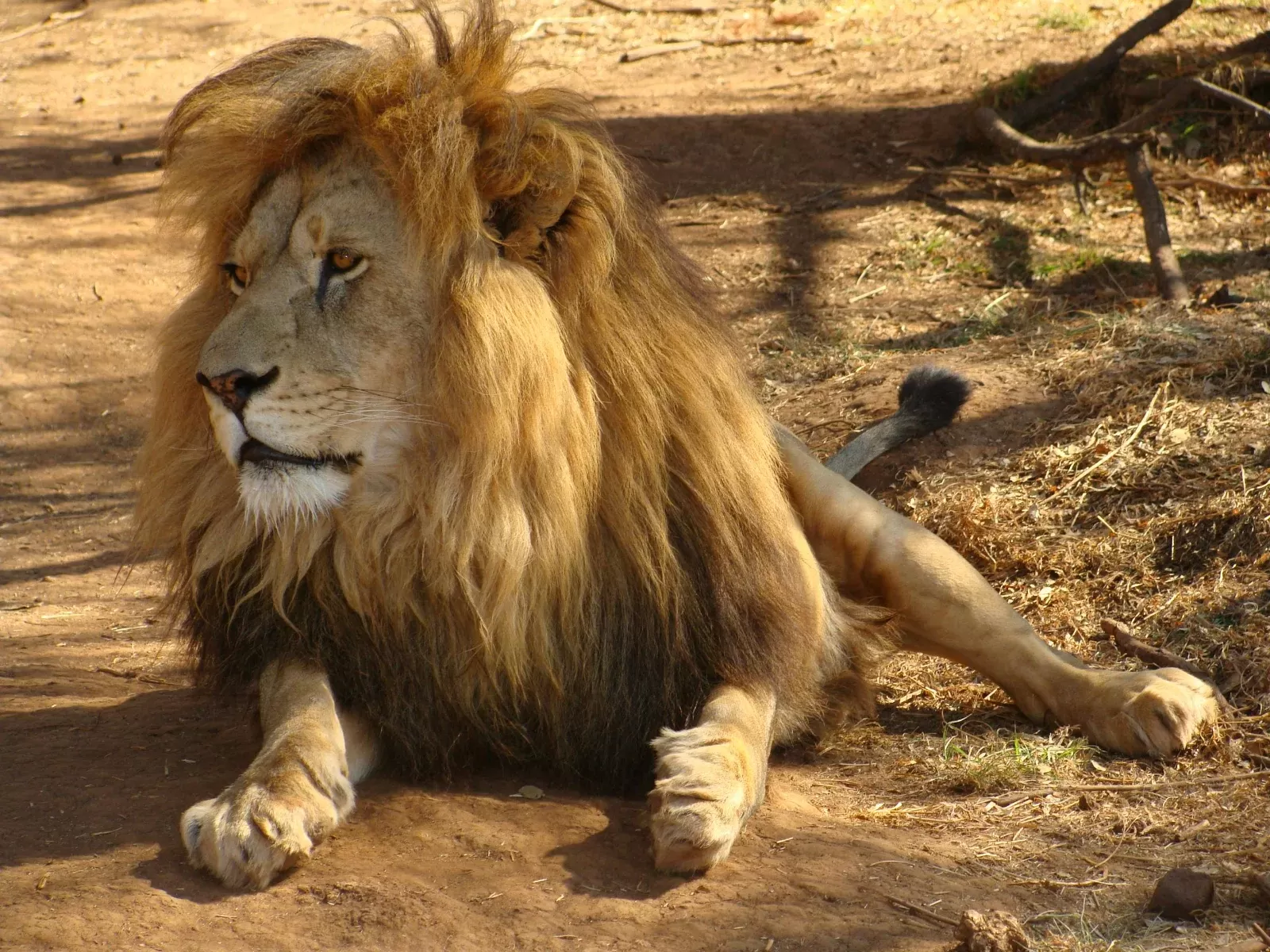 8-Days  Luxury Cape Town, Jhb, Kruger from Cape Town hero photo
