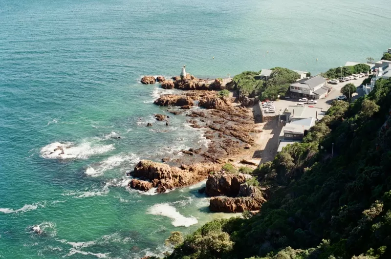 6-Days  Scheduled Tour Garden Route, Safari & Hermanus gallery image
