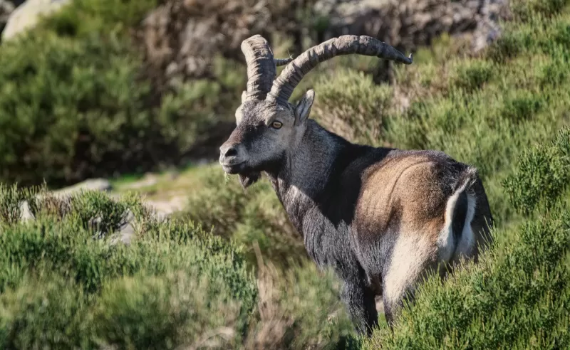 11-Days  Tour Gonder, Simien Mountain, Danakil & Omo Valley gallery image