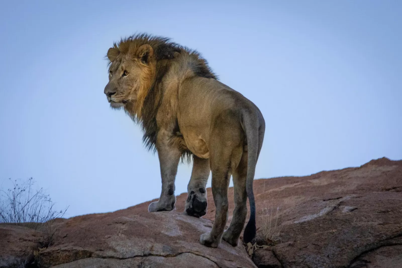 10-Days  Kruger, Victoria Falls & Cape Town Comfort Tour hero photo