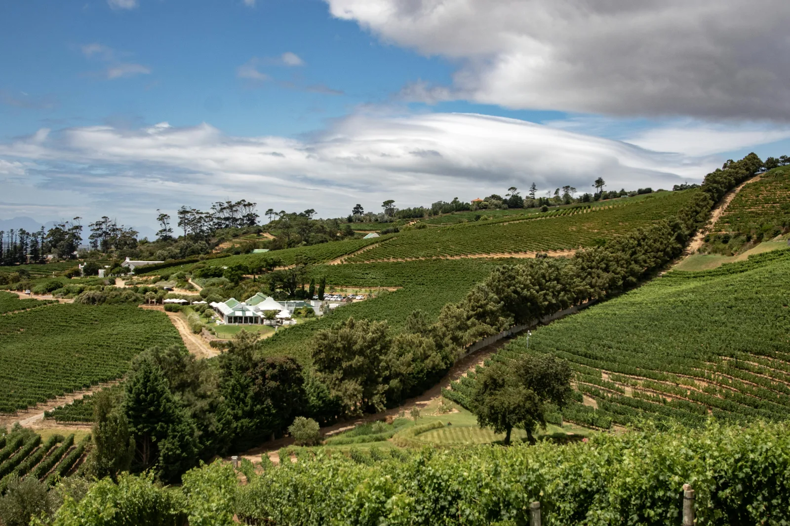 18-Days  Luxury Cape Town, Johannesburg, Kruger & Vic Falls gallery image