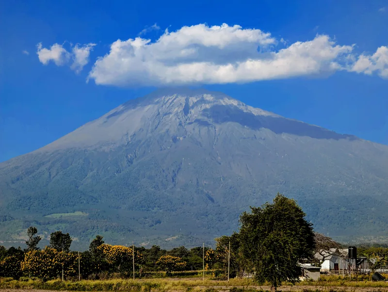 Best joining group 1-Day Trip to Arusha National Park