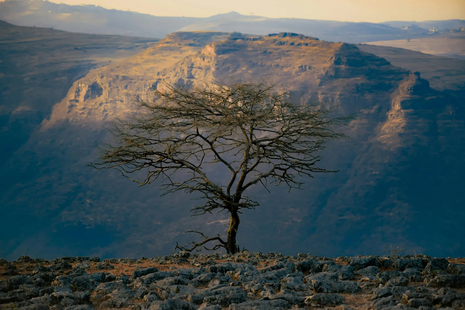 17-DayS  Ethiopia Wildlife Photography Tour gallery image