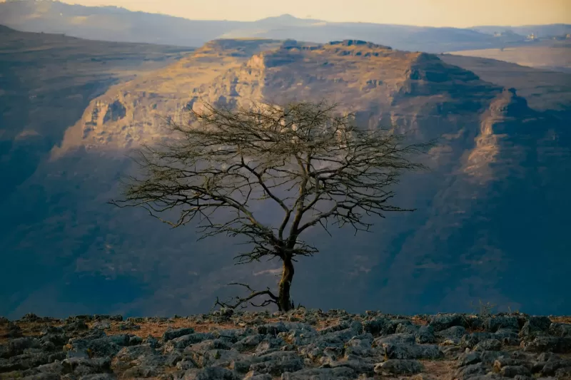 14-Days  Best of Ethiopia - North and South Combined gallery image