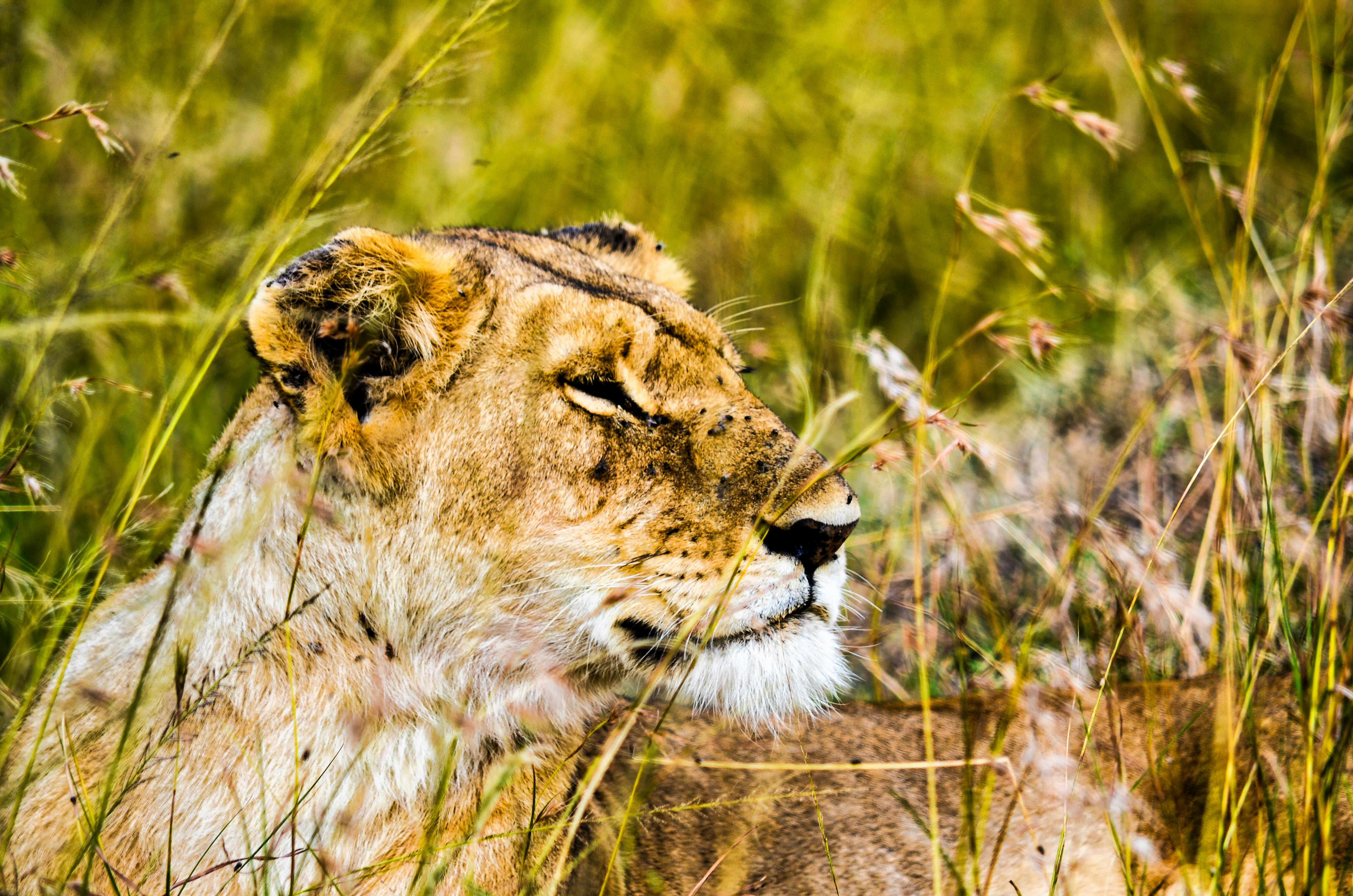 1-Day Wonderful Trip to Arusha National Park 2026 - 2027 gallery image