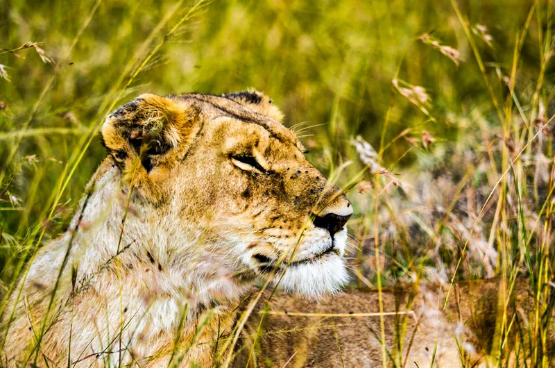 1-Day Wonderful Trip to Arusha National Park 2026 - 2027 gallery image