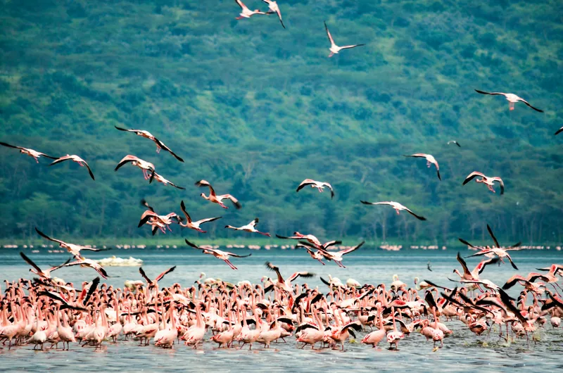 1-Day Wonderful Trip to Arusha National Park 2026 - 2027 gallery image