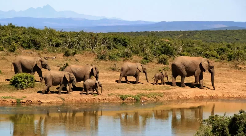 2-Day In Kruger National Park gallery image