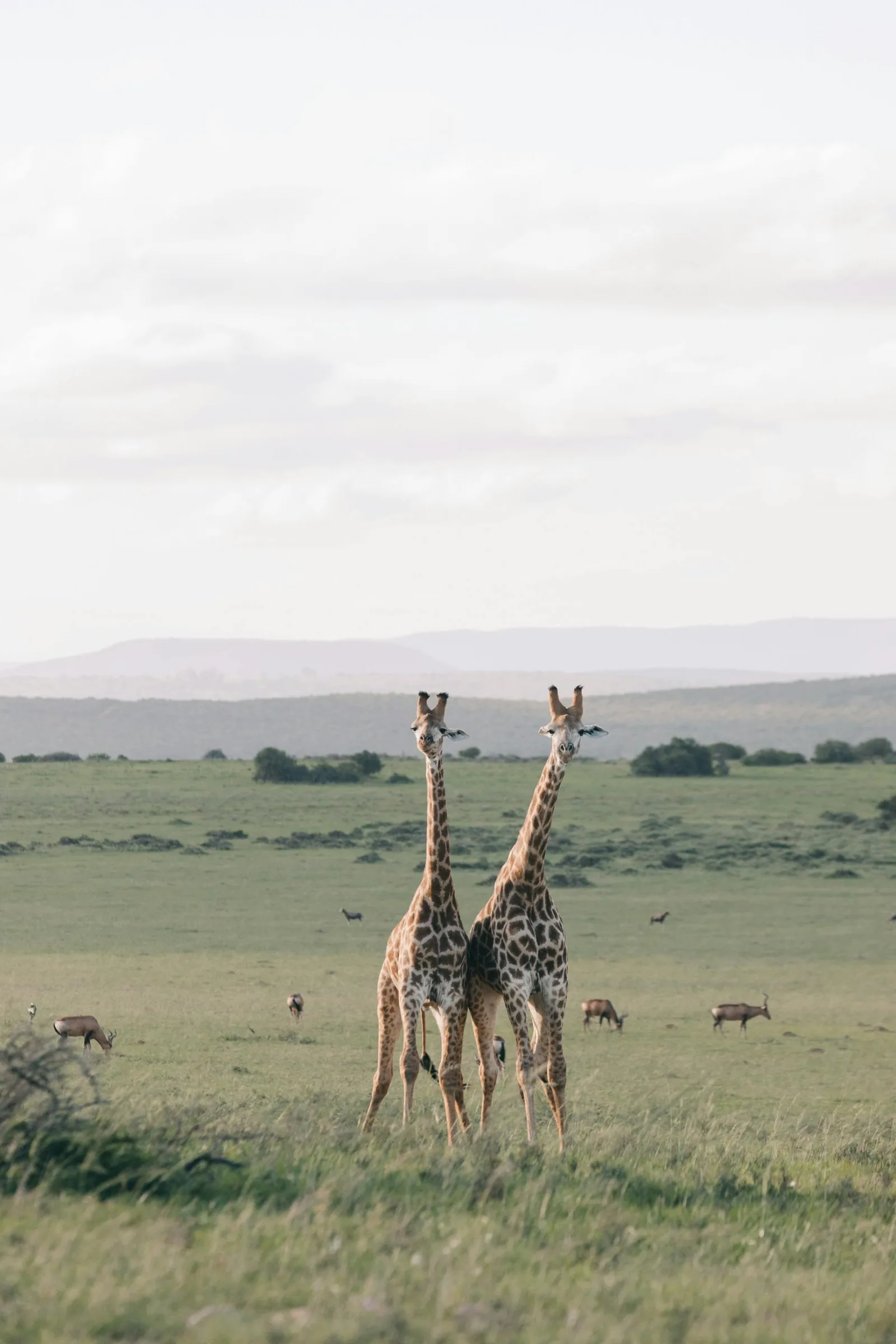 6-Days  Private Kruger Safari gallery image