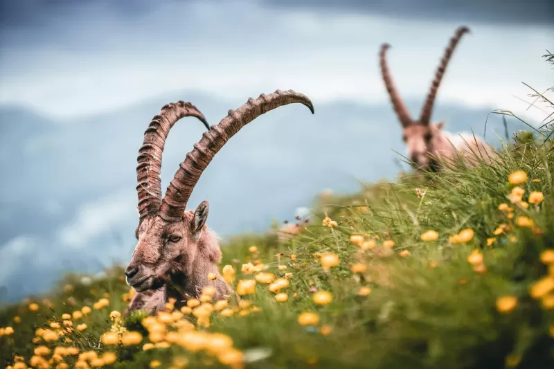 11-Days Discover the Wonders of Northern Ethiopia: 11-Day gallery image